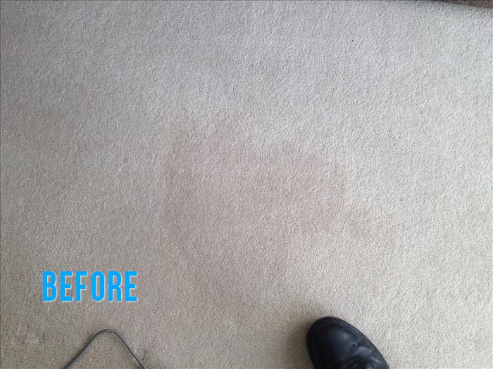 40-2-bovell-lane-small-stain-before_700x525
