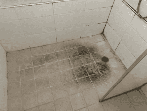 Before - Tile and Grout Steam Cleaning