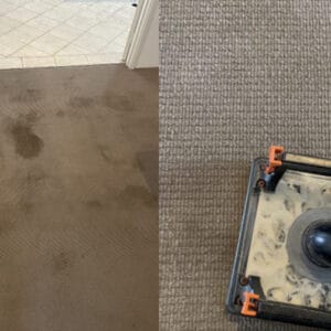 carpet cleaning - surprise stain