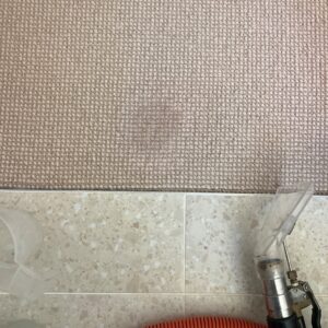 carpet stain cleaning