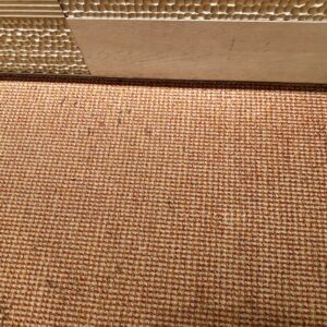 rugs and upholstery