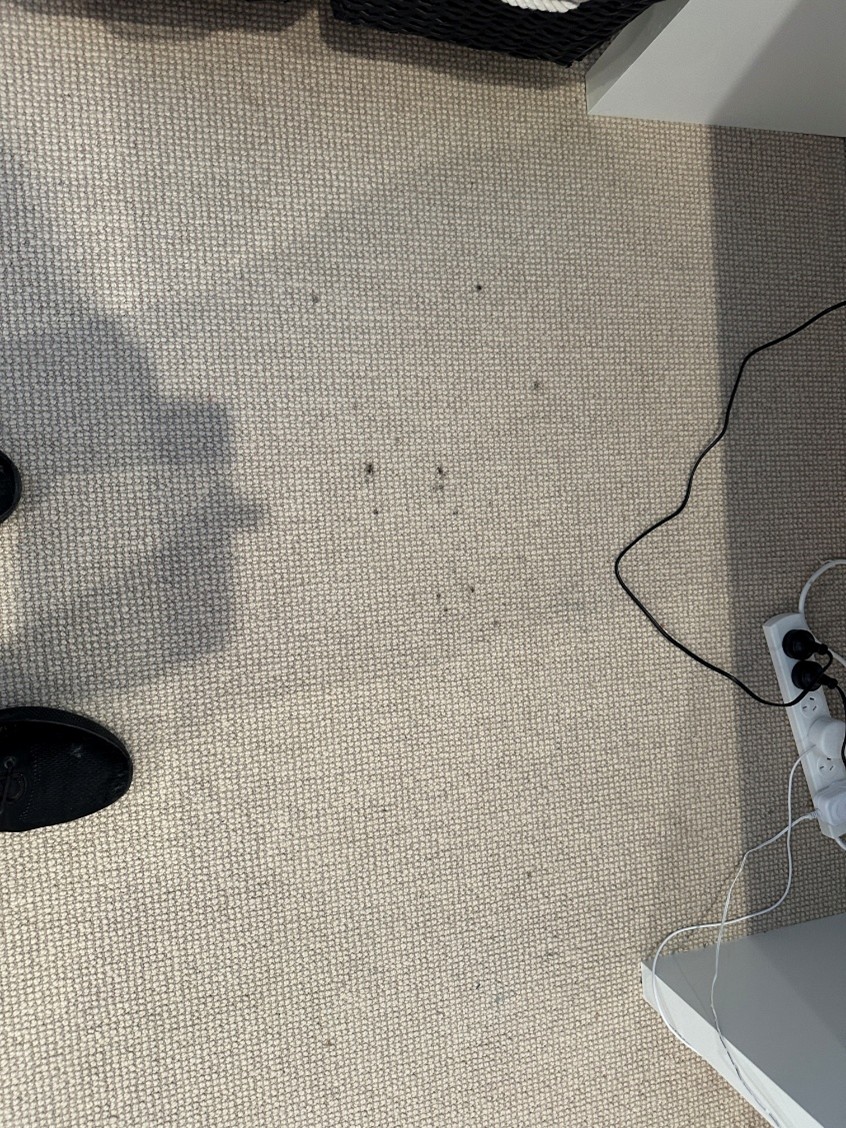 Mystery Spots | Carpet Cleaning | Fresh Aire Carpet Cleaning