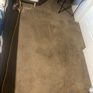 bye dye - carpet cleaning