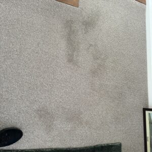 carpet cleaning