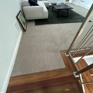 carpet cleaning