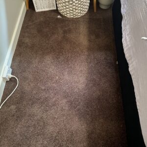 carpet recolouring