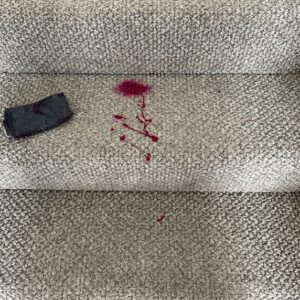 dang kids - carpet cleaning