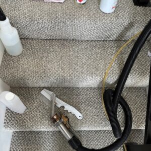dang kids - carpet cleaning
