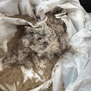 do it right - carpet cleaning