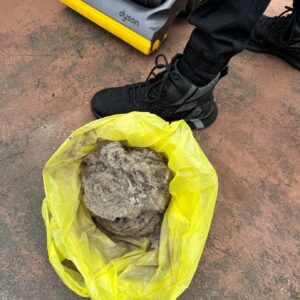 do it right - carpet cleaning